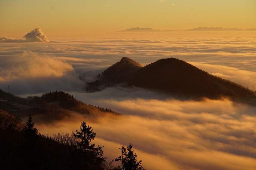 中国期货投资网(最好是近几年的投资圈比较资深的基金经理写的经典作品)