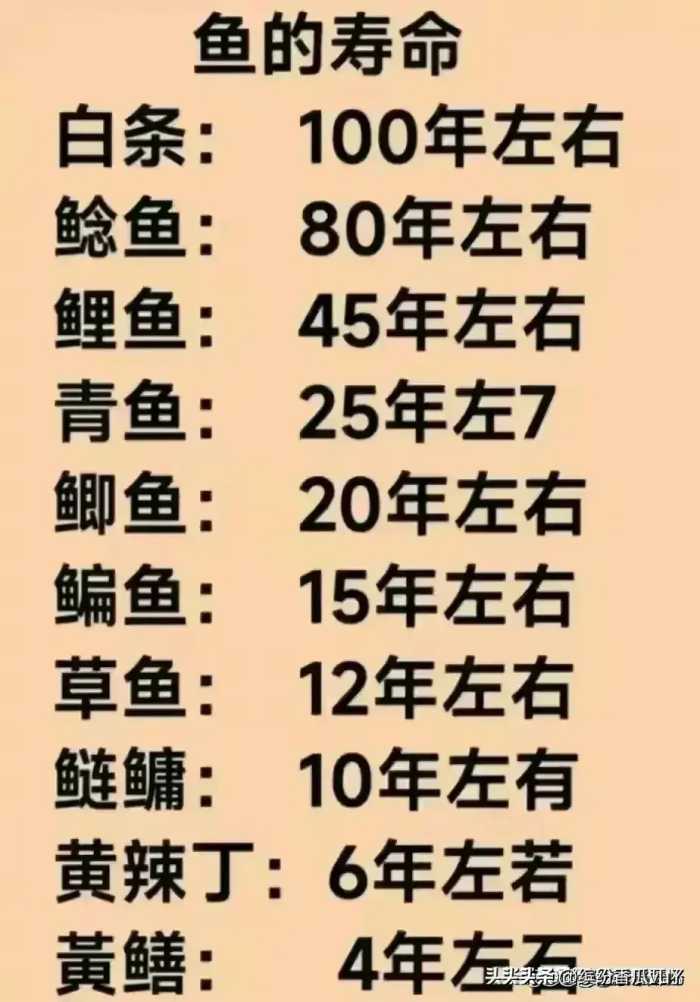 各大银行存款利率一览表，对照一下，看看你存哪个银行划算！