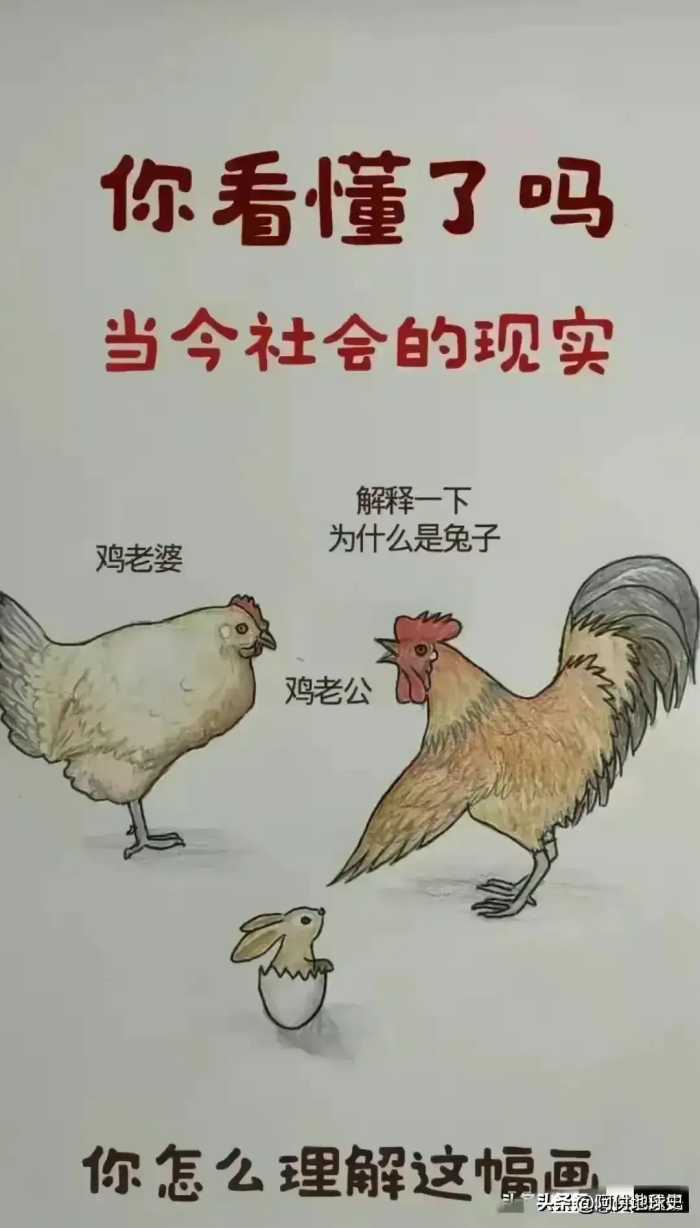 夫妻的一生，看完我落泪了。你看懂了吗？生活漫画，太现实了