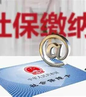 个人所得税和社会保险费有什么区别？这篇文章说清楚了