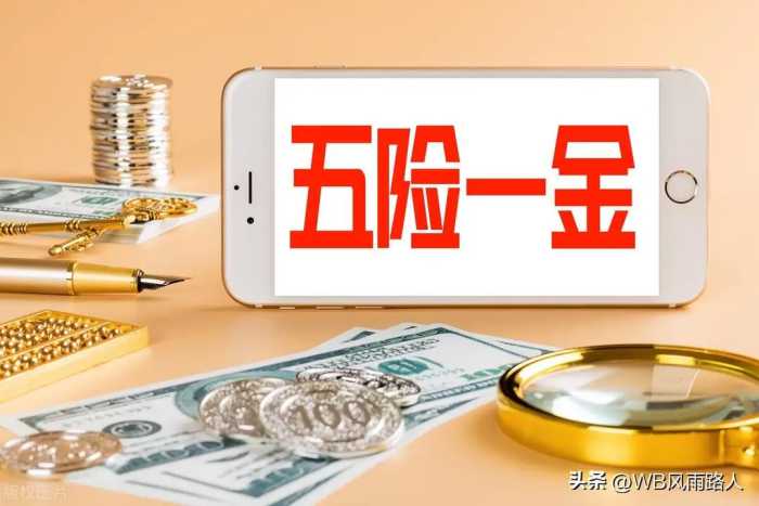 关于“七险三金”，以下是你想了解的所有内容。