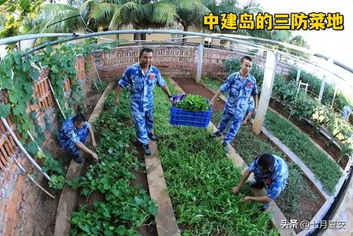 我国从越南人手中收回中建岛，又有怎样的变化，看50年后的中建岛