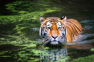 未及时披子公司转让情况、消除保留意见所涉销售回款不实等，ST实达及时任董事长收福建证监局警示函