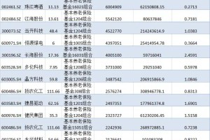 养老金最新持仓股曝光！现身38股前十大流通股东榜（附名单）