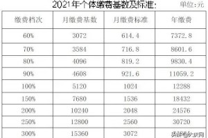 最新！个体参保缴费分9档 这几个时间段要记住