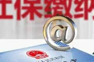 个人所得税和社会保险费有什么区别？这篇文章说清楚了