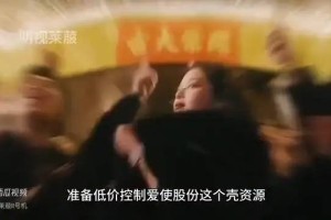 资本故事之爱使股份（2/2）