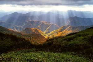 目标价格可能存在错误，请人工检查 目标价格可能存在错误，请人工检查 百济神州获浦银国际证券买入评级，目标价为275美元/165港元/人民币175元